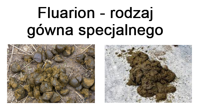 Sprzedajemy gówno i śmieci - Fluarion